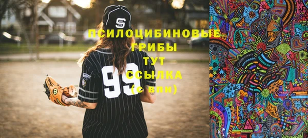 синтетический гашиш Алексеевка