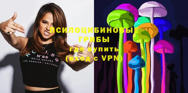 индика Болотное
