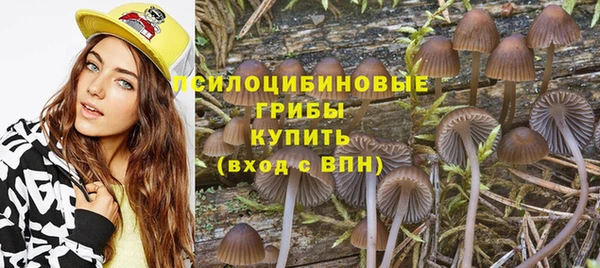 синтетический гашиш Алексеевка