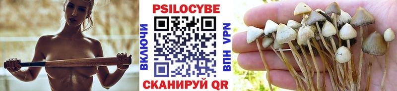 Псилоцибиновые грибы Cubensis Сарапул